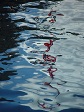 Reflection Shapes in Water (1).jpg